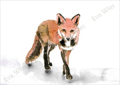 Fuchs Postkarte