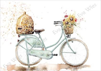 Fahrrad mit Bienenkorb